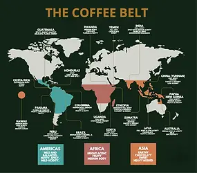 png-transparent-coffee-beans-illustration-coffee-bean-cafe-coffee-roasting-coffee-beans-fo