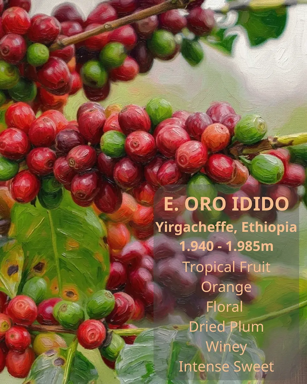 Phần IV-Chương 10: E. Oro Idido – Khi Khoa Học Bảo Chứng Cho Bản Sắc Đại Ngàn