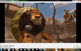 Vlc Media Player