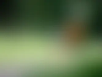 Ortopedia e Nutrologia: A Parceria Ideal para Melhorar Sua Qualidade de Vida