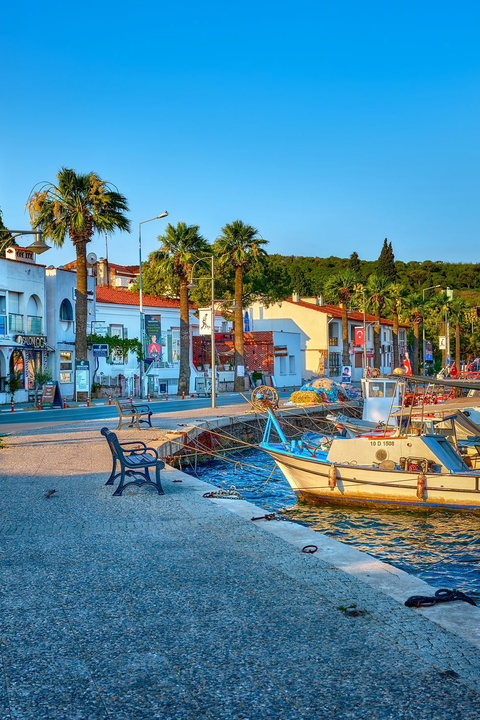 shutterstock_2737340387