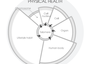 Defytime Announces Telomere Total Solution Program