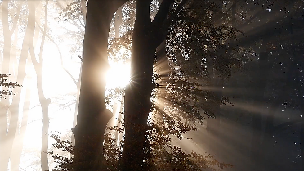 (Film The Summer of Love: ‘Breaking dawn into day’, Roma Short Film Festival, Roma, Italia)