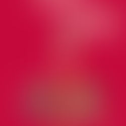 Last of the Wild - Directed by Bernadette Weigel