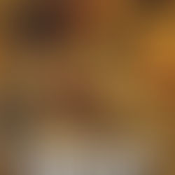 Americans in Egypt - Directed by Johnny Vonneumann