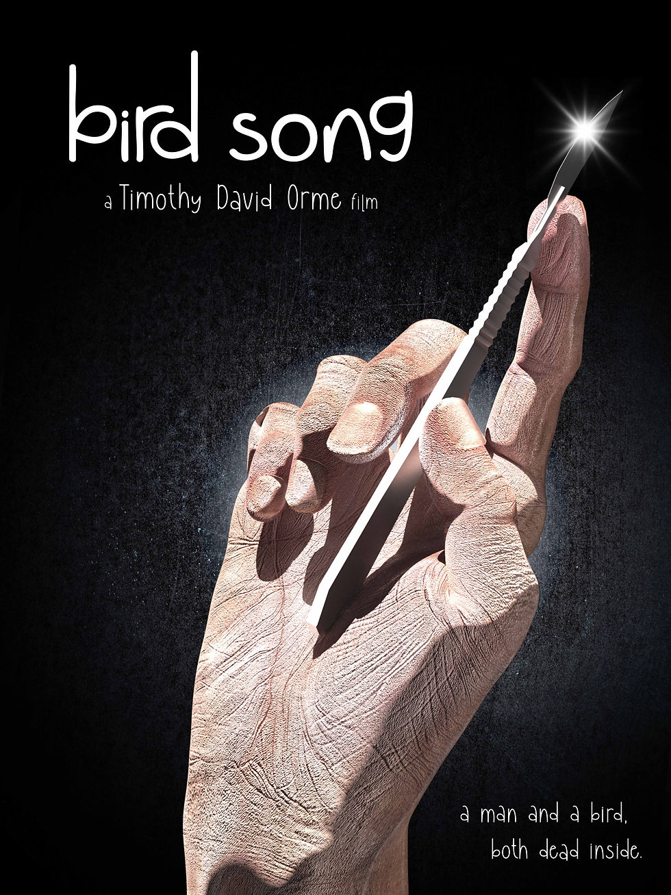 Birdsong - Directed by Timothy David Orme