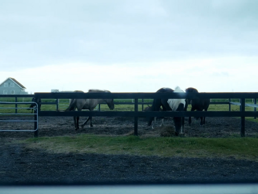 Tillhera - Belonging - Directed by Gianmarco Chiorboli