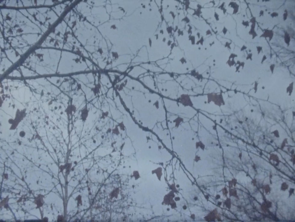 Bold and Admirable: Transcending Limitations