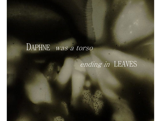 Daphne Was A Torso Ending In Leaves - Directed by Catriona Gallagher