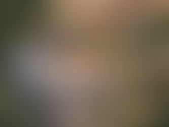 Mining The Blue Mountains: An Interview with James O’Connor