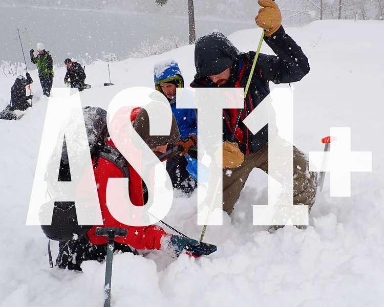 AST1 線上培訓與評估