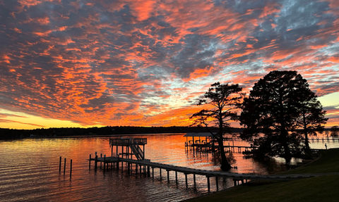 James River Gardens Gallery, photos, flowers, flower gardens, fire pit, dock, river, James River, painting, Plein Air, floral arrangements, flower arranging, garden, James River Garden events, event barn, growing flowers, two fire table, fine dining, outdoor dining, dining at the dock, two fire table