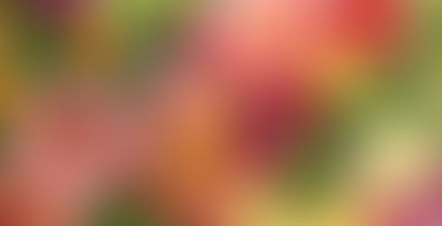 We are Flower Farmers...Come Grow with Us