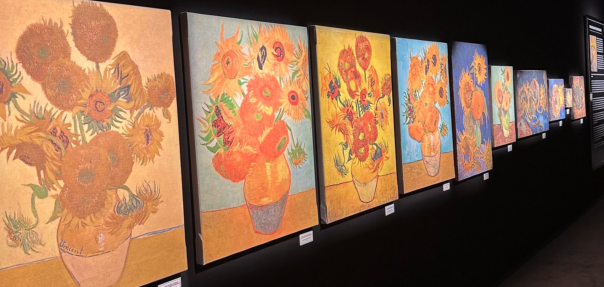 Sunflowers from the Immersive Van Gogh Exhibit