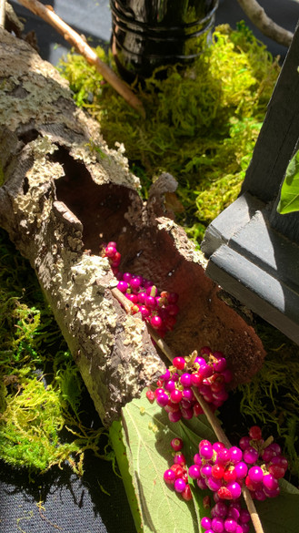 James River Gardens Gallery, photos, flowers, flower gardens, fire pit, dock, river, James River, painting, Plein Air, floral arrangements, flower arranging, garden, James River Garden events, event barn, growing flowers, two fire table, fine dining, outdoor dining, dining at the dock, come grow with us, trees at James River Gardens, Blooms