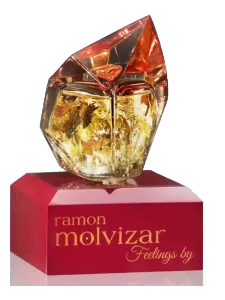 Feelings Ramon Molvizar