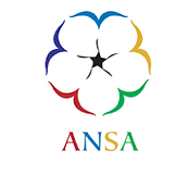 ANSA