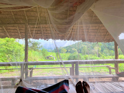 Une nuit dans la jungle avec les éléphants