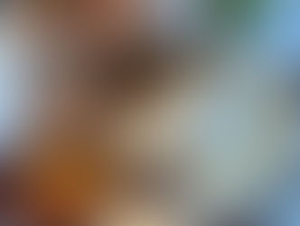 11月開講決定!中医薬膳茶講座
