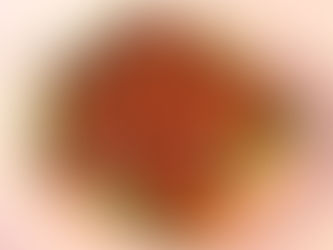 活動報告：満漢全席を「新橋亭」でいただく会