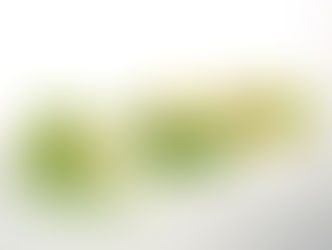 設立25周年記念学術大会を開催致します