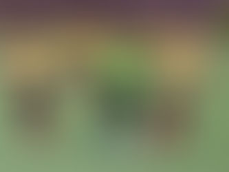 日本フットサル施設連盟フットサルリーグ powered by キリンビバレッジ【U-11】東海・愛知リーグ結果更新