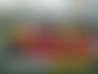 第19回高校生フットサルフェスティバル 結果