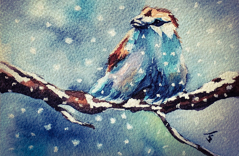 Bluebird photoshopped.jpg