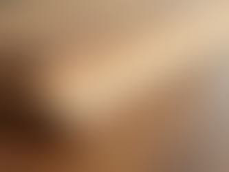 Impacts of Trade Commission's Preliminary Findings on U.S. Hardwood and Decorative Plywood Industry