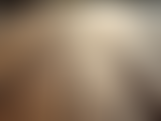 Unlocking the Heart of Hardwood: How Local Guys Flooring Sources Quality from Emerson Group