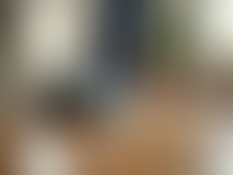 Unlocking Efficiency: The Role of Bona Power Drive in Elevating Hardwood Flooring Standards