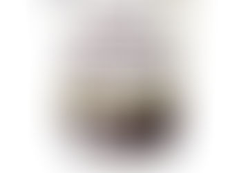 Duraseal Polyurethane vs. Bona Traffic HD vs. Loba Rush Finish for Wood Floors