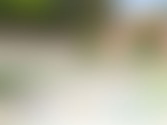 A Life of Luxury, Made Simple: Crow Creek Living