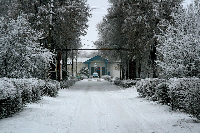 Улица Ленина