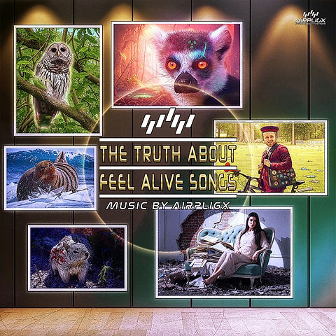 Airpligx Productions Cover.jpg