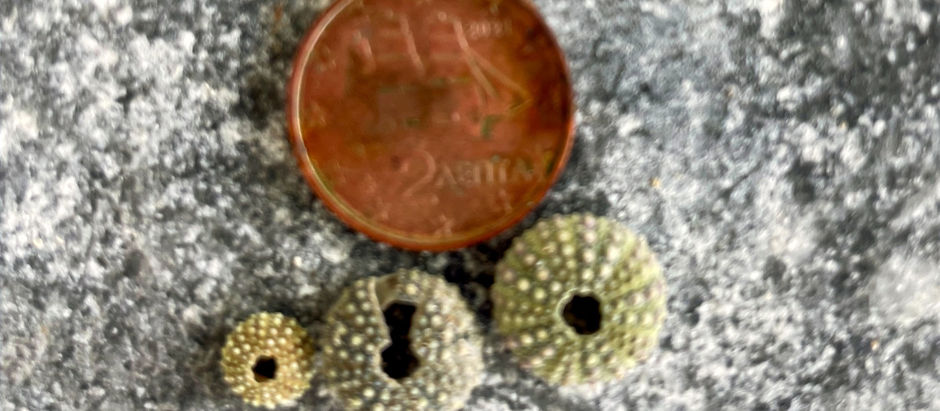 Found 2 Cents worth