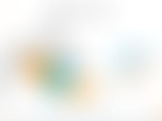 Banks, integrated in IRIS PSD2 HUB by June 2022 г.