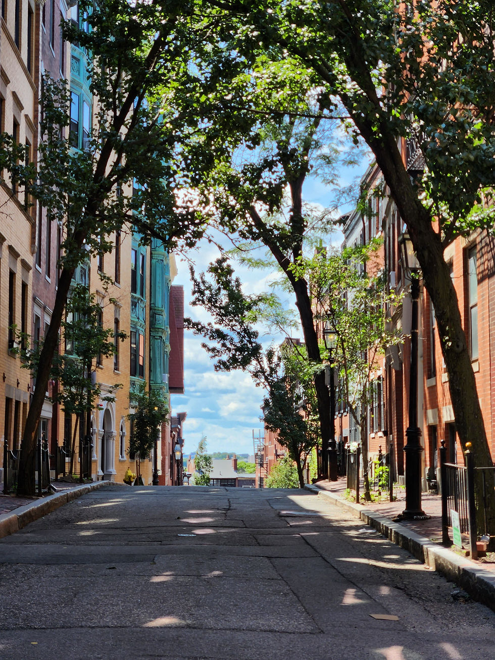 Beacon Hill Neighborhood