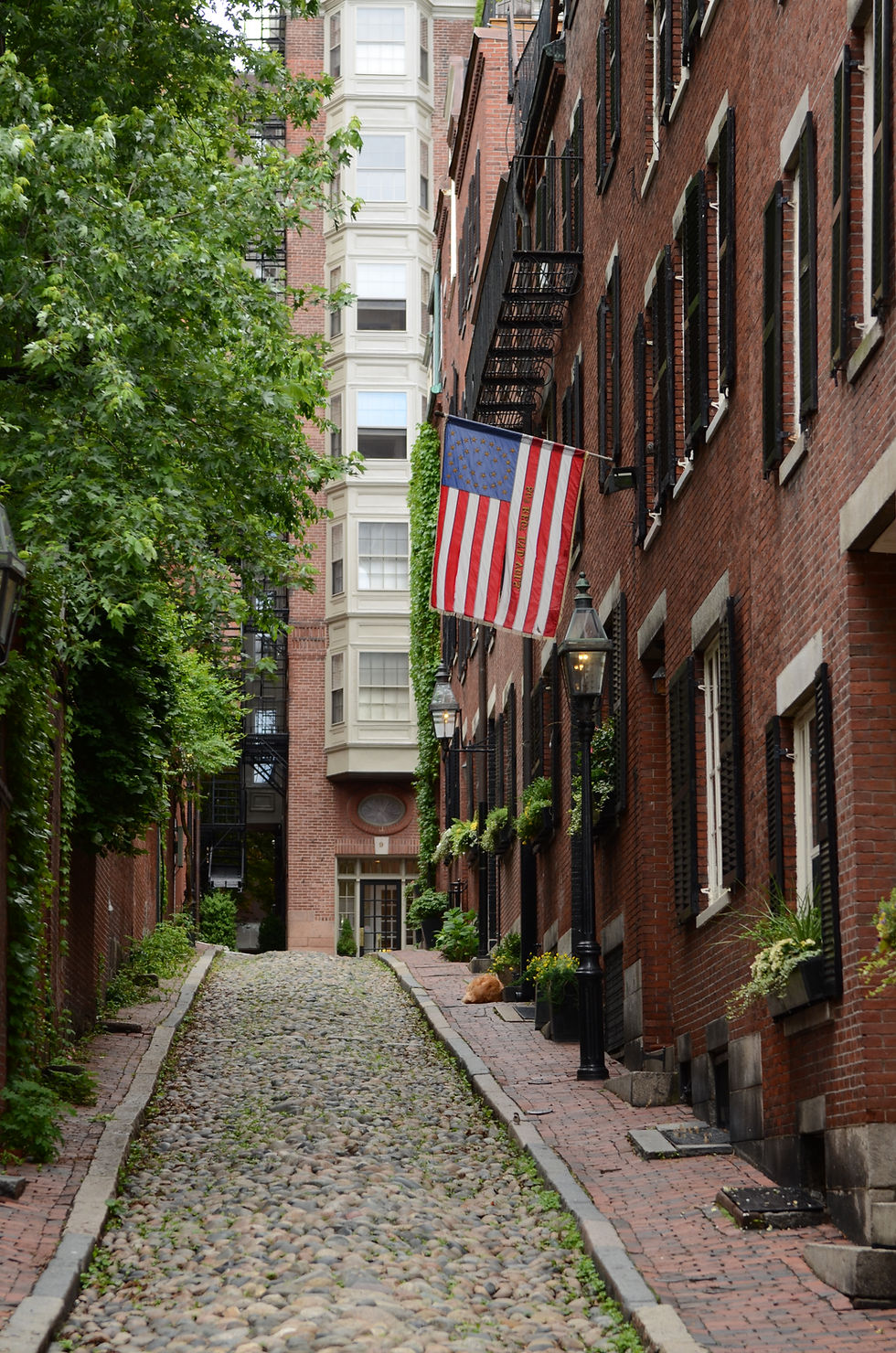 Acorn Street