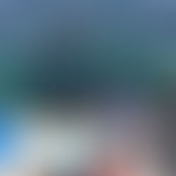 Whale Watching in Boston: A First-Time Visitor’s Guide