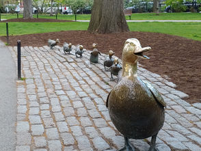 How to Find the Make Way for Ducklings Statues in Boston