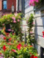 Flower window boxes in Beacon Hill