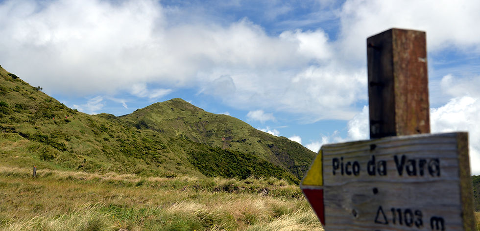 Panoramic view of Pico da Vara, the highest point in São Miguel, Azores, from the official trail.
