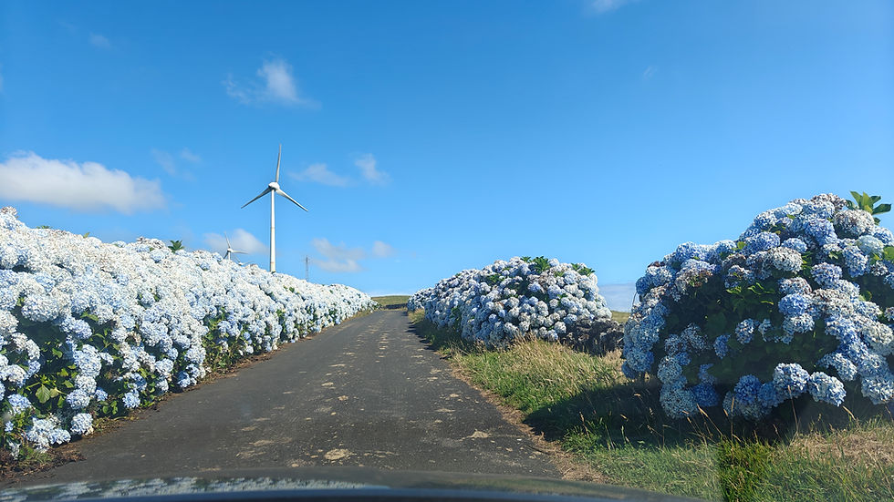 Renting a Car in Terceira, Azores - Your 2026 Guide