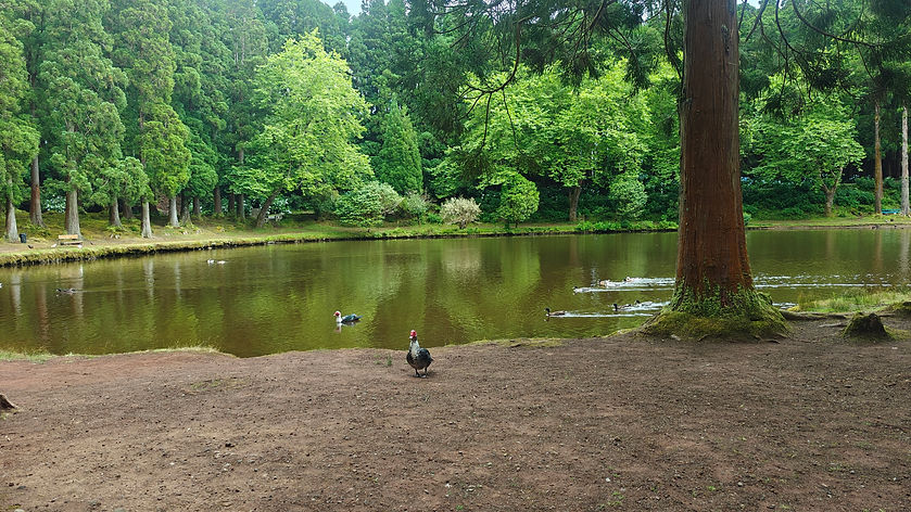 Lagoa das Patas