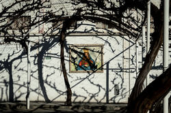 FotoTour en Parras Coahuila