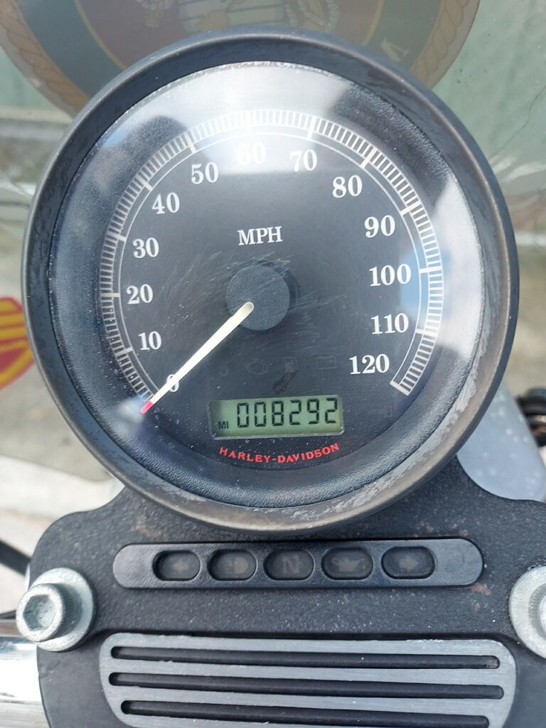 Thumbnail: 2009 Harley Davidson 883 Sportste