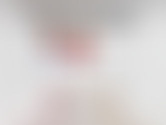 CDC Of Tampa Continues To Be A Game Changer 30 Years Later