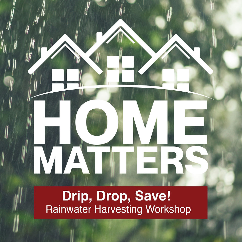 Home Matters: Rainwater Harvesting Workshop