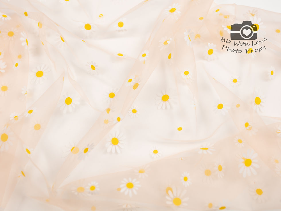 Thumbnail: Large Daisies Layer